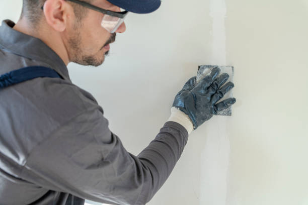 Wallpaper Removal and Painting in El Macero, CA